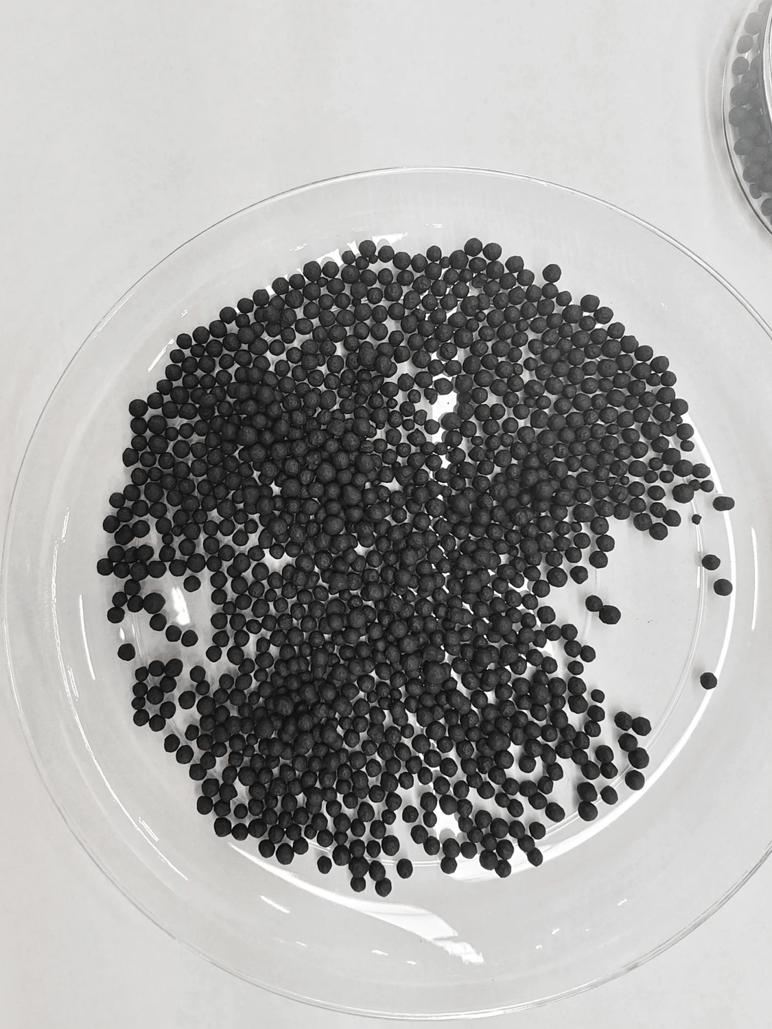 Organic Fertilizer