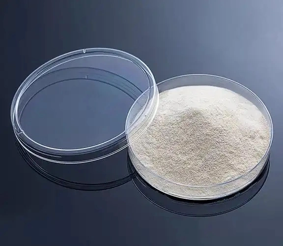 Xanthan Gum CAS#11138-66-2